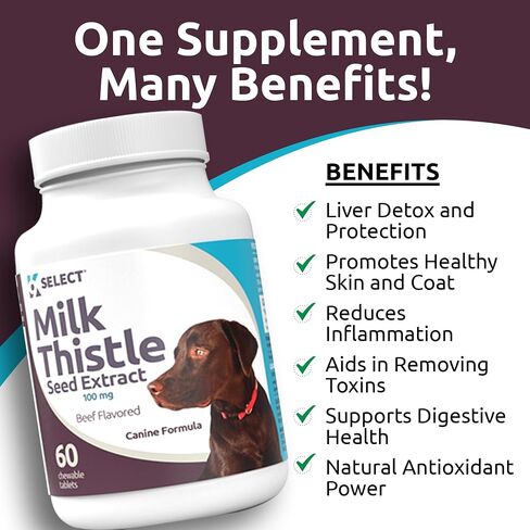 K9 Select Milk Thistle للكلاب، 100 مجم - 60 كبسولة - وظيفة الكبد الصحية للكلاب in Kuwait