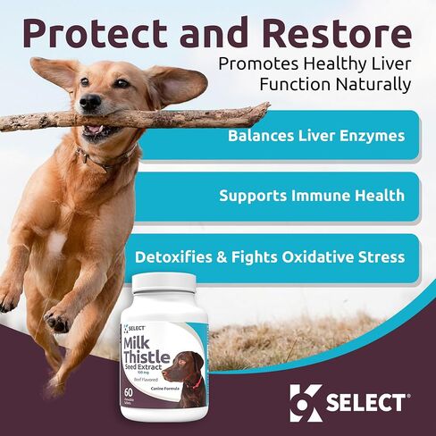 K9 Select Milk Thistle للكلاب، 100 مجم - 60 كبسولة - وظيفة الكبد الصحية للكلاب in Kuwait