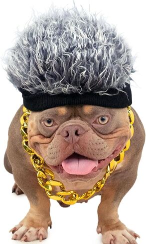 مجموعة أزياء الكلاب، قبعة شعر مستعار هيب هوب وطوق ذهبي للكلاب، أزياء للكلاب قابلة للتعديل، إكسسوارات تنكرية رائعة للحيوانات الأليفة المتوسطة والكبيرة، وحفلات أعياد الميلاد، والحياة اليومية in Kuwait