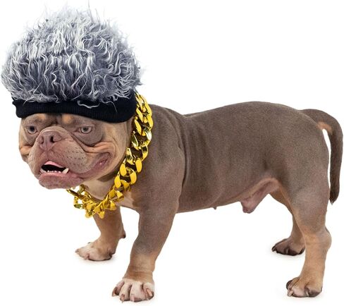 مجموعة أزياء الكلاب، قبعة شعر مستعار هيب هوب وطوق ذهبي للكلاب، أزياء للكلاب قابلة للتعديل، إكسسوارات تنكرية رائعة للحيوانات الأليفة المتوسطة والكبيرة، وحفلات أعياد الميلاد، والحياة اليومية in Kuwait