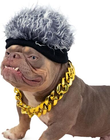 مجموعة أزياء الكلاب، قبعة شعر مستعار هيب هوب وطوق ذهبي للكلاب، أزياء للكلاب قابلة للتعديل، إكسسوارات تنكرية رائعة للحيوانات الأليفة المتوسطة والكبيرة، وحفلات أعياد الميلاد، والحياة اليومية in Kuwait