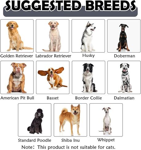 مجموعة أزياء الكلاب، قبعة شعر مستعار هيب هوب وطوق ذهبي للكلاب، أزياء للكلاب قابلة للتعديل، إكسسوارات تنكرية رائعة للحيوانات الأليفة المتوسطة والكبيرة، وحفلات أعياد الميلاد، والحياة اليومية in Kuwait