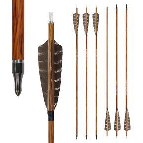 Hunting Carbon Arrows 400 Spine with Feathers Fletching and Target Tips for Compound Recurve Bows (6 Pack)