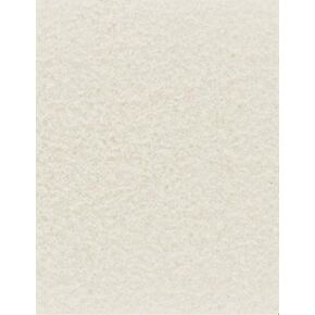 NextParch 8-1/2" x 11" (Letter Size) 65 lb. Parchment Cover Card Stock (Champagne)