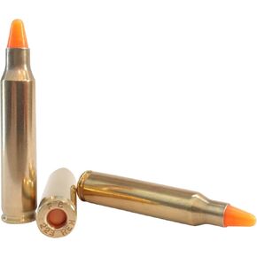 .223/5.56 جولة دمية لتدريب الأكشن - 10 جولات