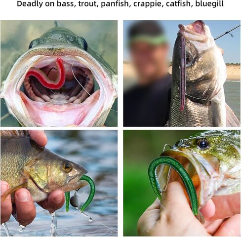 Fishing Soft Plastic Senko Wacky Worms, Soft Fishing Lures, Worm Soft Plastic Bass Fishing Lure, Mixed Kit Plastic Worm Stick Baits in Kuwait