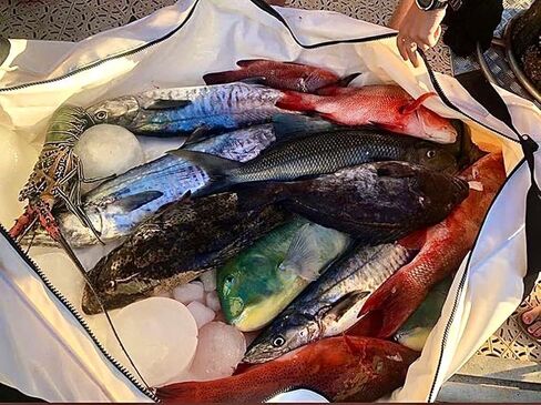 حقيبة السمك المعزولة من بافلو جير، قاعدة مسطحة، 48 × 20 × 11 بوصة، حقيبة مقاومة للماء لقتل الأسماك، تحافظ على برودة وطازجتك طوال اليوم in Kuwait