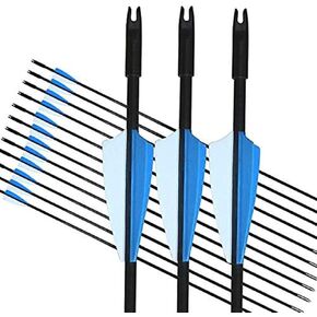 GPP Archery Beginner's First Arrows (30" Fiberglass Target Archery Arrows) - 12 Pack