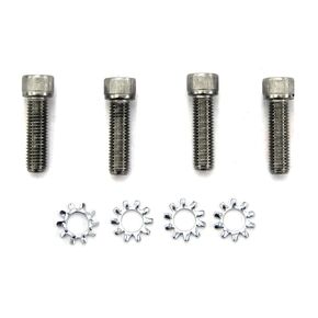 Silver Replacement Allen AR Grip Screw with Exterior Washers - Set of 4