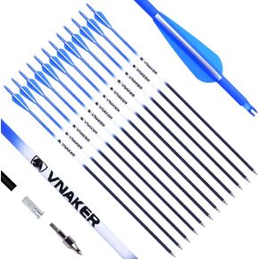 Archery 30Inch Carbon Arrow for Compound & Recurve Bow Hunting, 12 Pcs Arrow