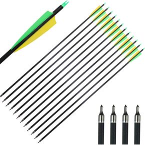 Archery 31Inch Carbon Arrow Practice Hunting Arrows with Removable Tips for Compound & Recurve Bow(Pack of 12)