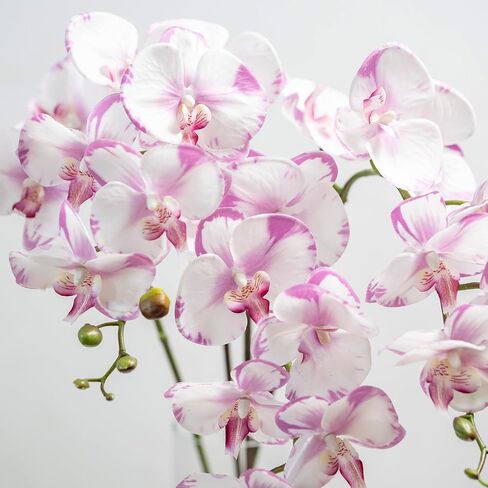 DUYONE 35 Inch Artificial Butterfly Orchid Flowers 4 Pcs Real Touch Orchid with 4 Pcs Leaves Fake Phalaenopsis Flowers Stem Plants for Wedding Home Decoration (Flowers + Leaves Set) in Kuwait