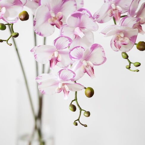 DUYONE 35 Inch Artificial Butterfly Orchid Flowers 4 Pcs Real Touch Orchid with 4 Pcs Leaves Fake Phalaenopsis Flowers Stem Plants for Wedding Home Decoration (Flowers + Leaves Set) in Kuwait