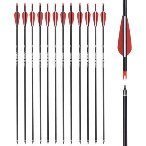 Carbon Arrow Hunting Arrows with 100 Grain Removable Tips for Archery Compound & Recurve & Traditional Bow Practice Shooting (Pack of 12)