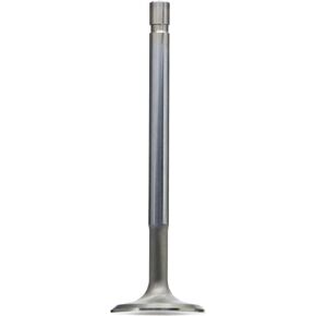 Ford Racing M-6505-G302 Stainless Exhaust Valve