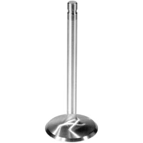 Ford Racing Intake Valve