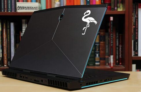 ملصق فلامنغو. مثالية لأكواب وأكواب Yeti وRTic، وiPhone وAndroid، وMacbook وأجهزة الكمبيوتر المحمولة، وأجهزة iPad والأجهزة اللوحية والمزيد! (الوردي الناعم) in Saudi Arabia