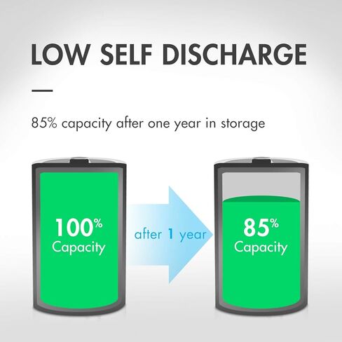 Tenergy TN141 2 Bay 9V Smart Charger with 4 pcs Centura Low Self-Discharge 9V NiMH Rechargeable Batteries in Saudi Arabia