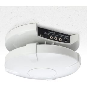 Cetacea Astronaut CL | Ceiling Speaker | 40W | 30' Power Cable | Classrooms, Conference and Training Rooms | Connects to Projector, Whiteboard, Or Computer
