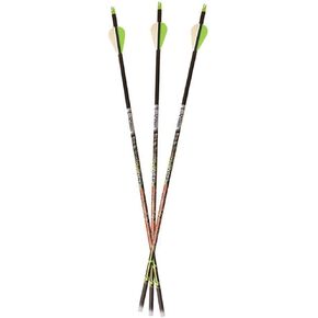 Carbon Express Adrenaline Archery Arrows Fletched 250 or 350-6 Pack