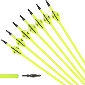 Carbon Arrows Fluorescent Green Shaft with 2" Plastic Vanes fletching & Removable Tips for Archery Practice Hunting Targeting, 12 Pack