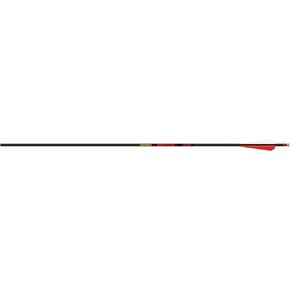 Gold Tip Hunter Arrows with 4-Inch Vane (Pack of 6)