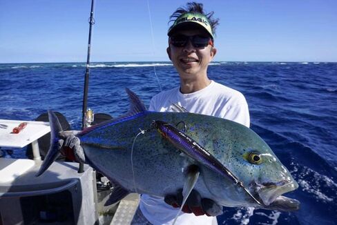 طُعم قلم رصاص عائم بالمياه المالحة مقاس 190 مم من شركة Fish Inc Lures Fullback in Saudi Arabia
