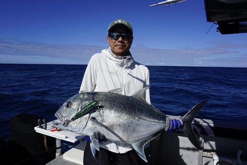 طُعم قلم رصاص عائم بالمياه المالحة مقاس 190 مم من شركة Fish Inc Lures Fullback in Saudi Arabia