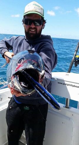 طُعم قلم رصاص عائم بالمياه المالحة مقاس 190 مم من شركة Fish Inc Lures Fullback in Saudi Arabia