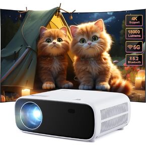 Mini Projector with WiFi and Bluetooth, 2024 Upgraded 1080P Projector, Portable Outdoor Movie Projector Compatible with iOS/Android/Laptop/HDMI/PC/TV Stick/USB
