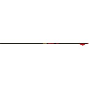 Gold Tip Hunter Arrows with Raptor Vane (Pack of 6)