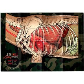 Life Size Deer Vitals 2 Sided Paper Range Target for Archery & Rifle Hunters by EthiKill - Realistic Anatomy Illustration - 19x27 inches (5 Pack)