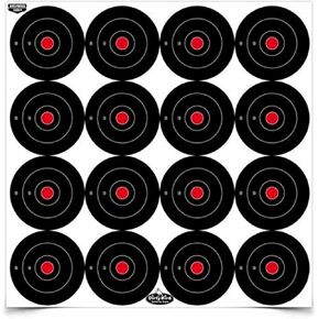 Birchwood Casey Non-Adhesive Dirty Bird Bull's-Eye Small Targets Practice Shooting for Indoor and Outdoor Use