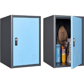 KAER Locker Storage Cabinet,Lockable Storage Cabinet,Metal Locker Storage Cabinet With1 Doors, 19.6" H Cabinet Organizer, for School, Office, Home,Preschool,Garage,Storage Room- Assembly Required