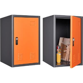 KAER Locker Storage Cabinet,Lockable Storage Cabinet,Metal Locker Storage Cabinet With1 Doors, 19.6" H Cabinet Organizer, for School, Office, Home,Preschool,Garage,Storage Room- Assembly Required