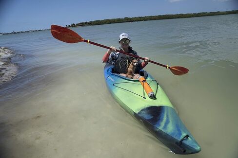مجداف كاياك عالمي من بيرسيبشن كاياكس (قطعتين)، 230 سم/90.5 بوصة in Kuwait