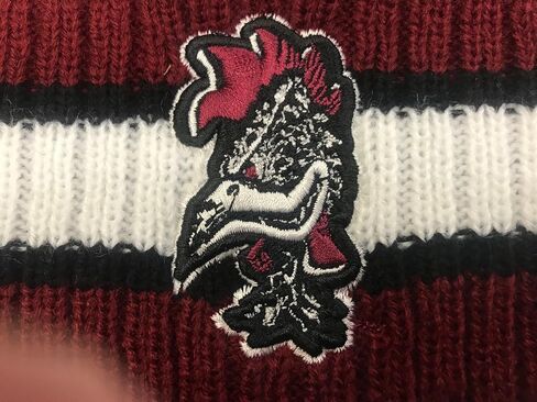 Zephyr NCAA Team Color-Retro Logo -Cuffed Knit Skully Beanie Pom Hat in Saudi Arabia