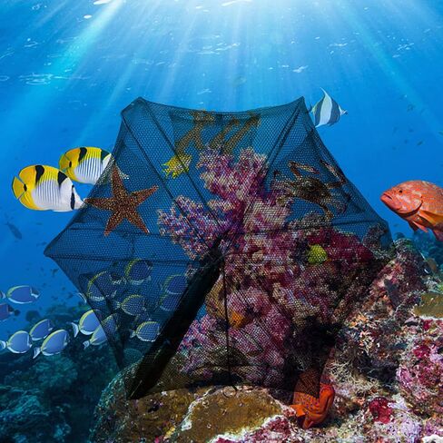 SOONHUA Fishing Net,Foldable Crab Trap Crayfish Trap,6/12 Holes,Quickly Opened Fishing Bait Traps with Zipper,Landing Net Trap Cast Dip Cage Fish Shrimp Minnow Crayfish Crab Baits Mesh Trap in Kuwait