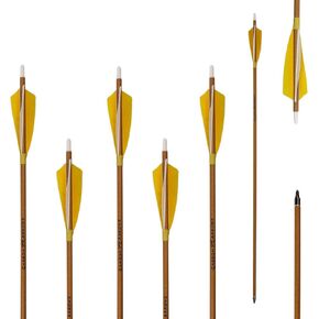 Letszhu Archery Carbon Arrows 500 Spine with Helical Real Feathers and Removable Tips for Compound Recurve Bow (6 Pack)