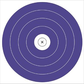 Cosmos 12 Pcs Archery Targets Paper 40cm Standard Archery Targets Compatible with NFAA 5 Ring Single Spot 300 Round Target Face Bow Arrow Paper Target for Archery Training Competition Target Practice