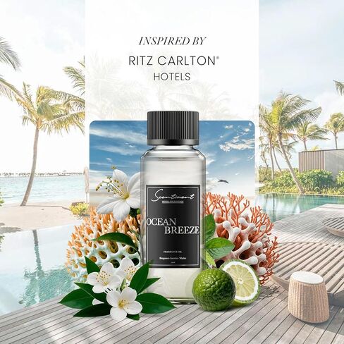 Holidate Winter Collection Diffuser Oils | Aromatherapy Home Fragrance | Luxurious Scent with Notes of Cinnamon, Clove, Vanilla, 120ml in Kuwait