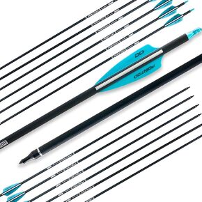 28"/30"/32inch Carbon Arrow Practice Hunting Arrows with Removable Tips for Compound & Recurve Bow(Pack of 12)