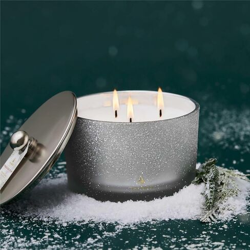 Thymes Frasier Fir Flocked Jar Candles – Scented Candles for Home with Notes of Siberian Fir, Cedarwood & Sandalwood – Holiday Candles for Christmas Decor – White Candles (Poured Candles, 6.5 oz) in Kuwait