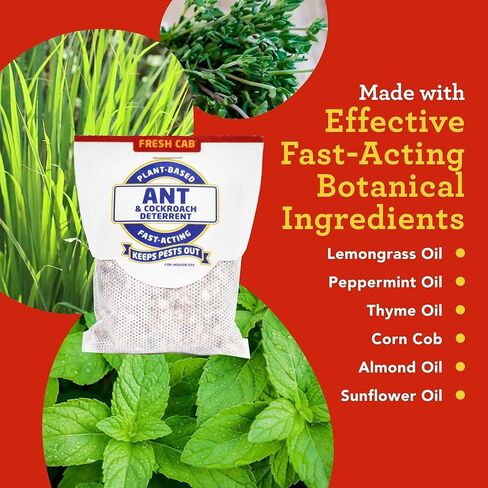 رادع النمل والصراصير الطازج - مكافحة الآفات النباتية الداخلية - آمن للأطفال والحيوانات الأليفة عند استخدامه حسب التوجيهات - مصنوع من زيت النعناع العطري - عبوة من 4 قطع in Kuwait