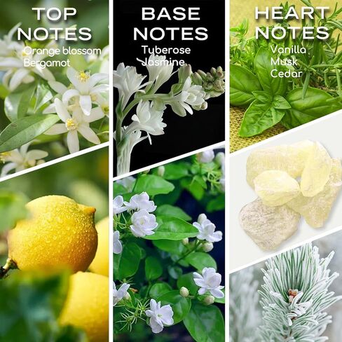 Hotel Scents Elegant Charisma 10ML Essential Oil Inspired by Shangri-La Hotel, Hotel Diffuser Oil with Cedarwood and Sandalwood, Luxury Home Aromatherapy Fragrances Oil in Kuwait