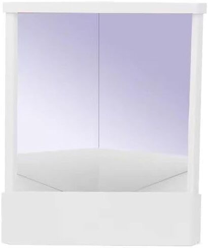 True Mirror, Non Reversing Mirror, Inverted Mirror, Standing Cosmetic Stand Mirror for Makeup, Hair Styling, Grooming, Facial Correction in Saudi Arabia