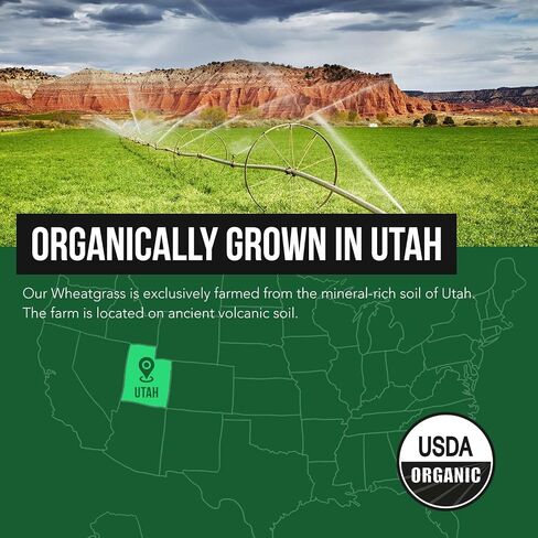 Organic Barley Grass Juice Powder - Grown in Volcanic Soil of Utah - Raw & BioActive Form, Cold-Pressed then CO2 Dried – Gluten Free, GMO free, Vegan - Complements Wheatgrass Juice Powder - 5.3 oz in Kuwait