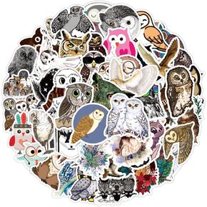 50 PCS Cartoon Owl Stickers Pack for Kids Teens, Cute Kawaii Vinyl Waterproof Decal Stickers for Water Bottles Bicycle Laptop Luggage Computer Mobile Phone Skateboard Bike