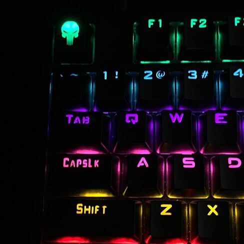 Skull Backlit Keycap,Costom kecaps for Cherry MX Mechanical Keyboard,SA Profile, R4 Keycaps,ABS Translucent Backlight keycap,Artisan keycap,Personalized keycap. (Skull 1) in Saudi Arabia