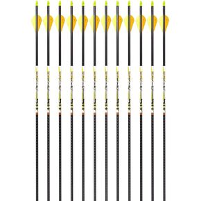 Carbon Express D-Stroyer SD Hunting Arrow Shafts, 12-Pack, Small Diameter .203"ID, High Modulus Carbon Weave, Dual Spine Weight Forward Technology, Laser Checked